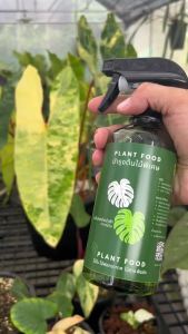 สเปรย์บำรุงใบ ใบใหญ่ ใบเขียว กระตุ้นการแตกใบ แตกยอด ปลอดภัยต่อผู้ใช้ อาหารเสริมต้นไม้ แบบขวดสเปรย์ 1 ขวด  450 ml Plant Food