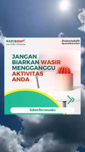 Obat Wasir Ambeien Ampuh Herbal Benjolan BAB Berdarah Anus Keluar Stadium 1 4 Sembelit