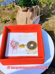 hadiah Bonus kura kura emas & koin