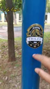 Ly Eagle 3.5 Inches TRISKELION Law Enforcement Group Badge