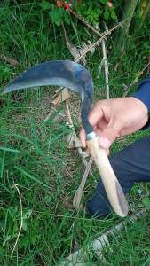 Sabit Arit mini super tajam baja asli original/ ARIT Rambanan ternak