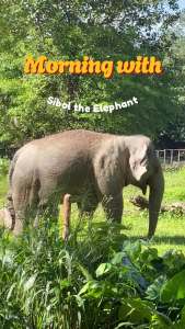 Zoo Negara - Adopt our Sibol