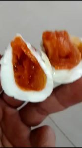 TELOR ASIN ASLI MASIR DAN GURIH ukuran JUMBO & SEDANG//ISI 10 BUTIR