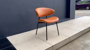 Luz Chair / Retro Dining Chair / Modern Make Up Chair - FRM0252
