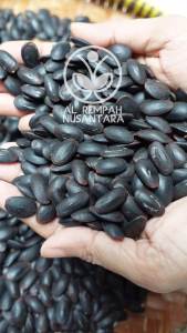 Biji Kedawung Grade A 1kg Bersih dan Organik