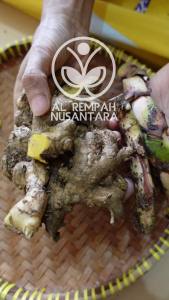 Dlingo Bengle: Paket Sawan Anak