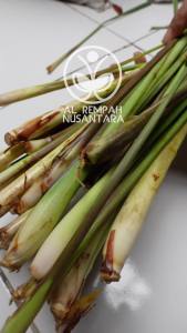 Sereh atau Serai Segar Grade A - Lebih Wangi
