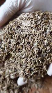 Biji Adas / Adas Manis / Fennel Seed Grade A: Produk Premium