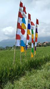 BENDERA UMBUL UMBUL WARN WARNI ISI 20pcs\nBENDERA UMBUL UMBUL GARUDA WARNA WARNI