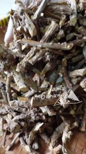 Brotowali Kering / Bratawali Kering 100gr Asli Hutan Gunung Kidul