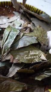 Asli Hutan!! Daun Sirsak Kering Oven Organik