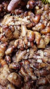 Grade A!! Kencur Super 250gr - Lebih BERASA BESAR dan SEGAR