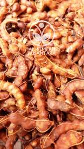 Asem / Asam Jawa 1kg - Asli Gunung Kidul