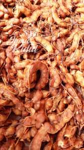 Asam Jawa 500gr Gunung Super Asem