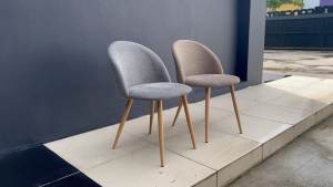 Nordic Dining Chair / Curved Backrest Makeup Chair / Modern Cafe Chair - FRM0246