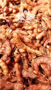 Asam 500gr atau Asem Jawa Segar - Belum di Masak