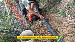 Máy bơm nước chạy xăng osaika GX300 (2.5HP) Nhật Bản  phi 76mm  động cơ 4 thì  bảo hành 12 tháng