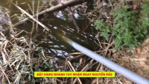 Máy bơm chạy xăng OSAIKA Nhật Bản GX300 (2.5HP) ống phi 76mm chuyên dụng trong tưới tiêu nông nghiệp bảo hành 12 tháng