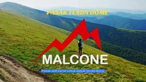 Pasak tenda kuat anti karat 10 pcs + tas pasak 1 pcs