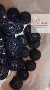 20 ลูก/30 ลูก/50 ลูก bio ball ไบโอบอล แบบกลม 36MM มีฟองน้ำด้านใน เกรดA วัสดุกรองบ่อปลา-ตู้ปลา