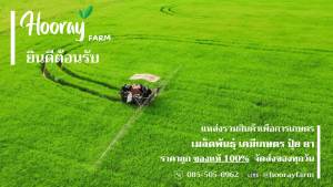 คาร์เเทป 1 กก. ( คาร์แทปไฮโดรคลอร์ไรด์ ) กำจัดหนอน หนอนกอ หนอนชอนใบ หนอนกระทู้ หนอนใยผัก หนอนชอนใบ