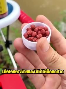 ปลากินเมื่อไว้! เหยื่อตกปลา หัวเชื้อตกปลา 1000เม็ด กัดเบ็ด 3วินาที รสชาติกลมกล่อมกระตุ้นให้ปลากัดตะขออย่างบ้าคลั่ง