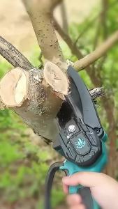 Gergaji Rantai Elektrik Mini 24V /48V 6 Inch - Portable dan Ringan dengan Baterai Tahan Lama - Cocok untuk Pemangkas Pohon Buah dan Pemotongan Pohon - Motor Tembaga Murni