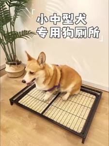 Dog Pee Tray Dog Toilet Dogs Indoor Toilet Pee Training Dog Litter Pad Training Pan Small Medium and Large Drawer Flush Bedpan Dog Toilet Tray 狗厕所