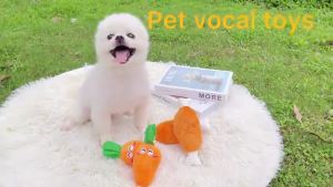 Pet Sounding plush toys dog cat interactive chew toys Dog Squeaky Toys for Small Medium Dog|Pet Toy