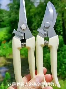 Stainless Steel Garden Scissors for tree branch Gunting Tanam Batang Pokok Bunga Keluli Tahan Karat 不锈钢 剪刀 剪树枝