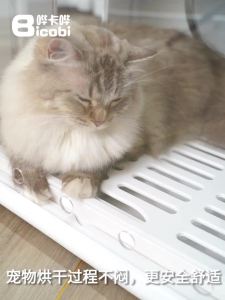 Pet Cat Dryer Box Machine Blower Dryer Box For Dog Dryer Machine Automatic Pet Dryer Pet Hair Dryer Baker Water Blower Mute Sterilization and ion Safety Protection