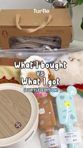 TURTLE Violent Bear Piggy Bank Ceramic Ornament Home Decor Living Room Decoration