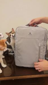 Avenue 6700 Luggage Laptop Backpack Travel Outdoor Rucksack Knapsack Trolley Bag