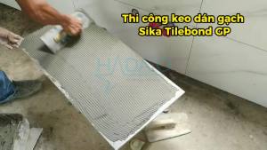 Sika Tilebond GP – Keo dán gạch ceramic gạch đồng chất khu vực nội thất – 5kg