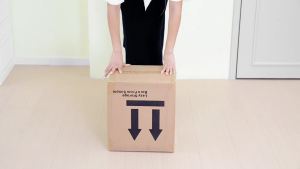 ANTBOX Kotak Sepatu Susun Serbaguna: Solusi Rak Sepatu Anti Debu