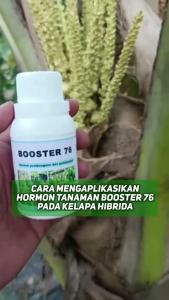 Paket 2 botol Booster 76 kemasan 100ml pupuk organik pelebat penyubur dan pembesar tanaman buah