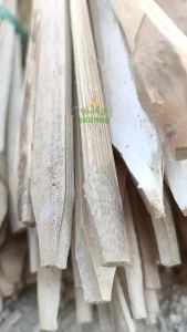 10pcs Pring Bambu Belah Ajir & Penyanggah Tanaman Kebun