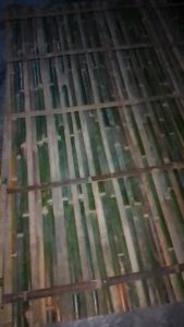 Pagar Bambu Hias Halaman Rumah Dan Taman Siap Pakai