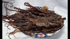 ปลาหมึกสาย ปลาหมึกสายหวาน หมึกสาย