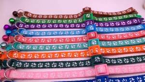 ยกแผง 12ชิ้น ปลอกคอแมว สุนัข ลายพราง ลายสนัข ปลอกคอเรืองแสง สีสันสดใส มีแถบสะท้องแสง (มีหลายแบบให้เลือก)