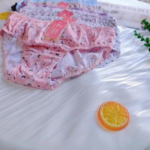 6/12 Pcs Fashion Print Style Design Ladies High Quality Cotton Floral Panty Underware Set for Women