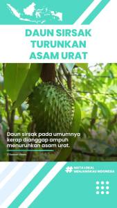 Daun Sirsak Herbal Segar Hijau Non Kimia