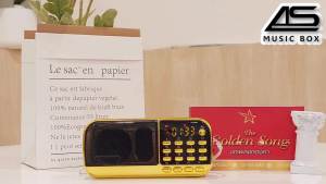 AS MUSIC โกลเด้นซองรวมเพลงฮิต วิทยุลิขสิทธิ์แท้ ต้นฉบับแท้เพลงลูกกรุง ลูกทุ่ง สตริงยุค80 กว่า 2005 เพลง รุ่นสีแดงทอง