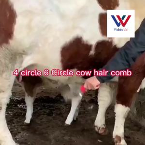 6 Rings Reversible Stainless Steel Horse Comb & Curry Brush: A Comprehensive Guide