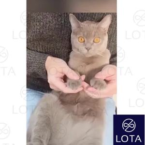 KỀM CẮT MÓNG CHÓ MÈO CÓ ĐÈN CHỐNG CẮT PHẠM kìm bấm móng thú cưng cao cấp pet care nail cutter LOTA SHOP