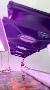 Bộ quạt làm mát thủy sinh hồ cá giảm nhiệt độ bể cá không ồn bộ 1234 quạt ( đã bao gồm quạt chân bắt vít và nguồn)