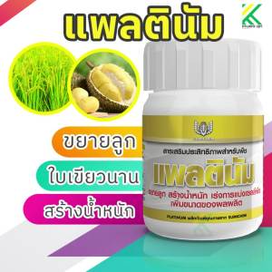 แพลตินัม - เพิ่มขนาดผล ยืดอายุการทำงานของคลอโรฟิลด์ ใบเขียวนาน