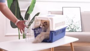 PMT Pet Carrier Travel Cage: A Comprehensive Guide