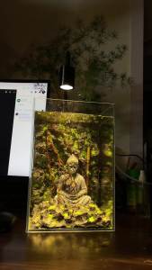 [Layout setup sẵn] Layout bể cá Ngộ Không ngồi thiền 2 vách setup sẵn  lũa đá tự nhiên rêu nhựa thủy sinh trang trí bể cá layout thủy sinh.