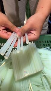 2Pcs Refill Isi Lem Tembak Harga Per Batang